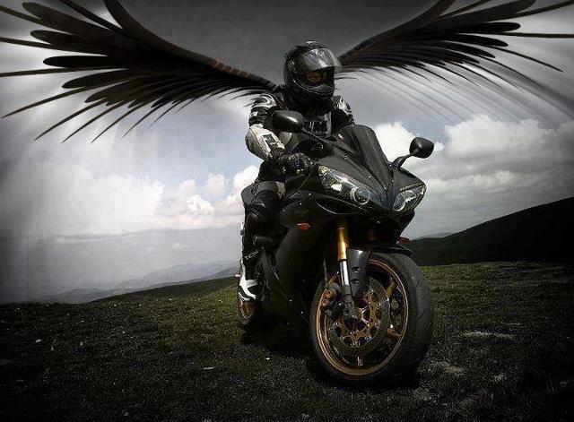 29807 291480824294629 70117183 n