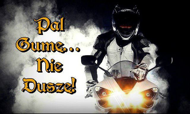 486828 267955406654793 1403054525 n