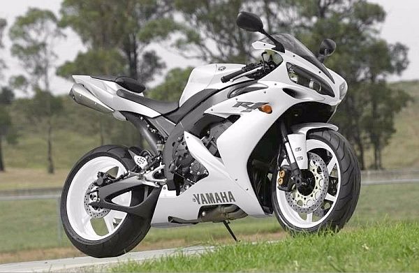 486926 3037722476232 1784256576 n